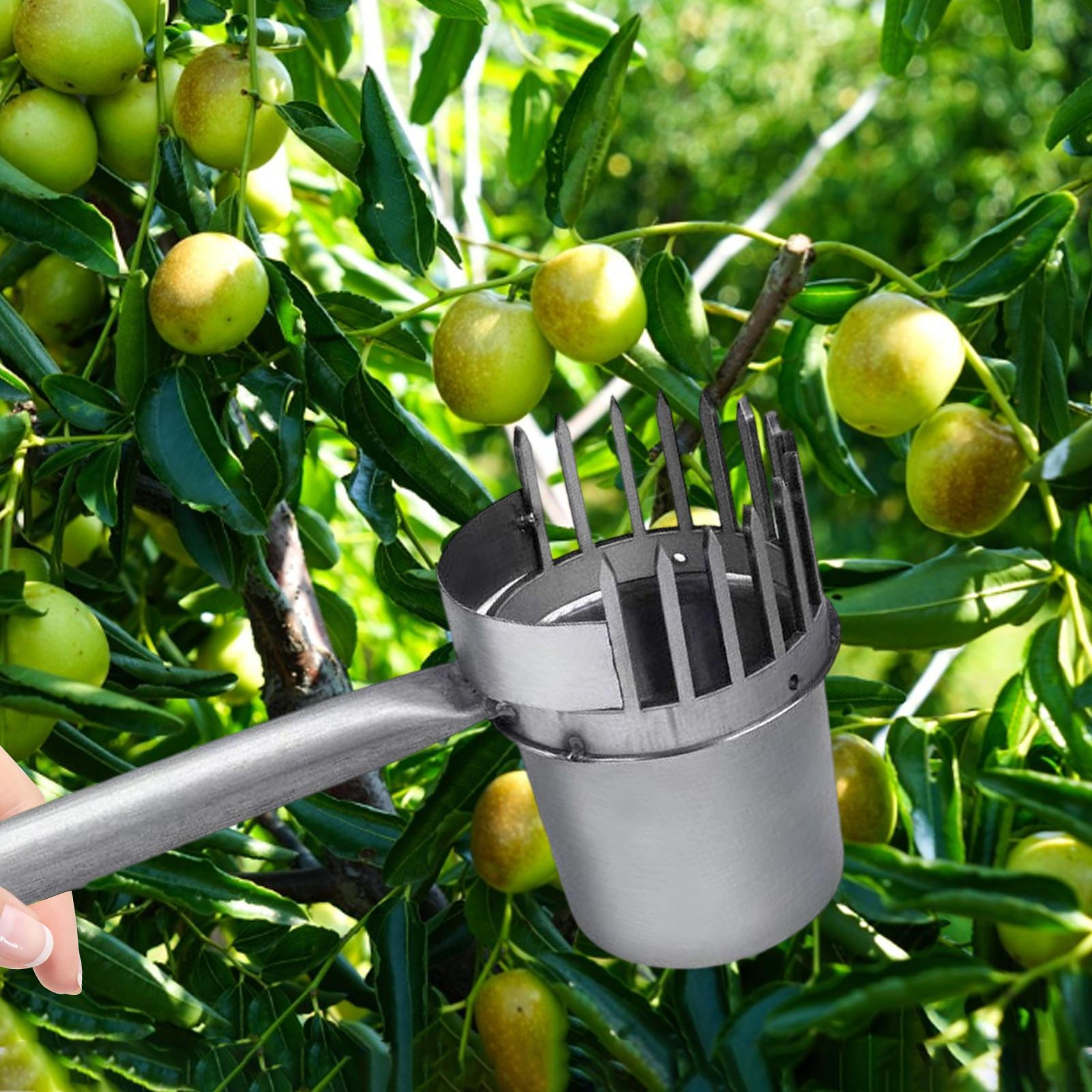 

Плодосборник Садовый инвентарь Легкий в использовании Прочный Сверхпрочный Высокопроизводительный Инструмент для сбора ручной