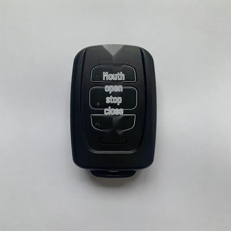 Jincheng Borui Smart Electric Swing Gate Opener