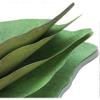 200 Sheets Green Leaf Sticky Notes & Scratch Stickers