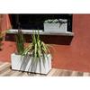 Window Box - EDA - Graphite Up - 25 L - Indoor/ Outdoor - Graphic Decor - 59 X 19.5 X H. 22.8 Cm - Limed White