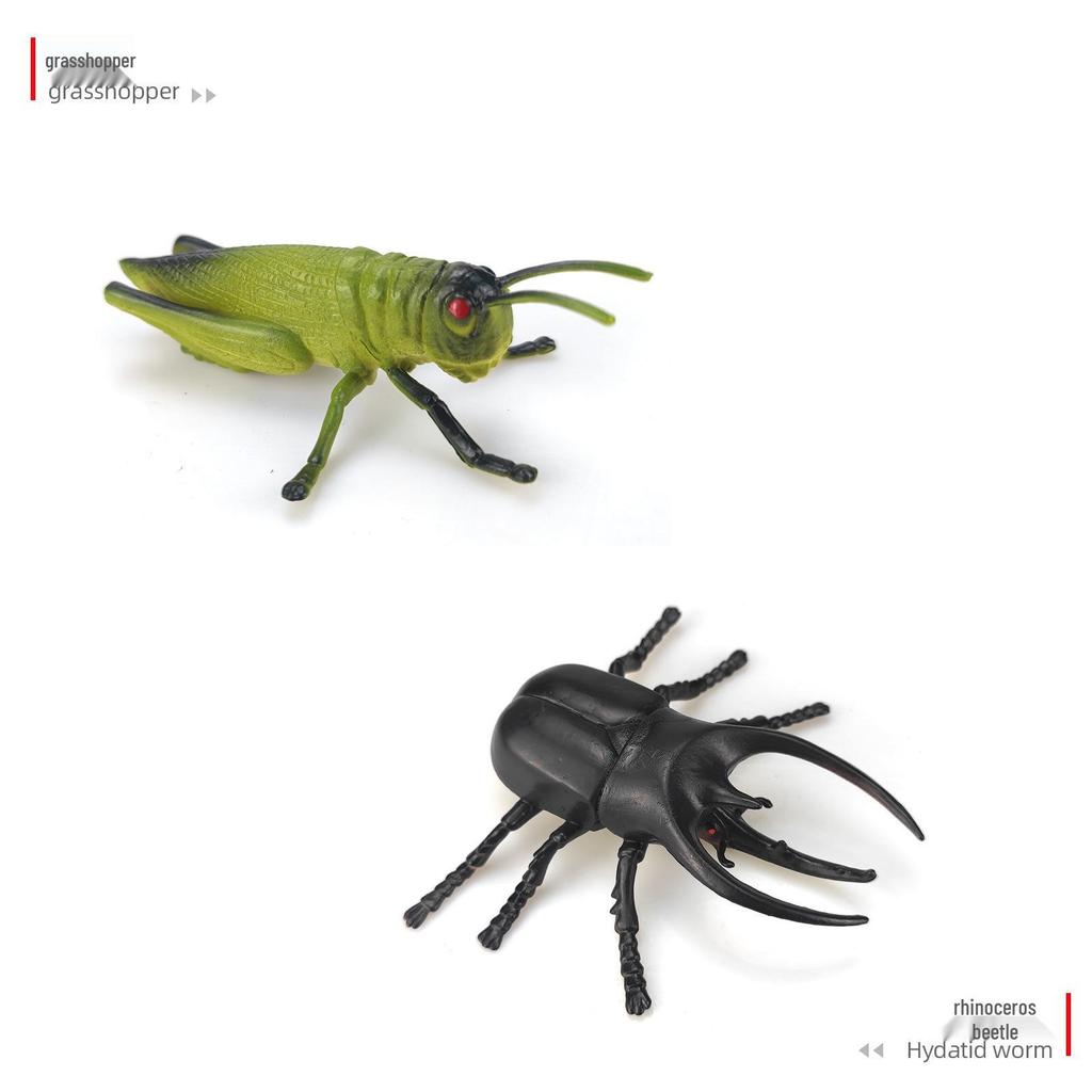 Children's Cognitive Teaching Toys: Insect Models - Butterfly, Ladybug, Rhinoceros Beetle, Bee, Grasshopper