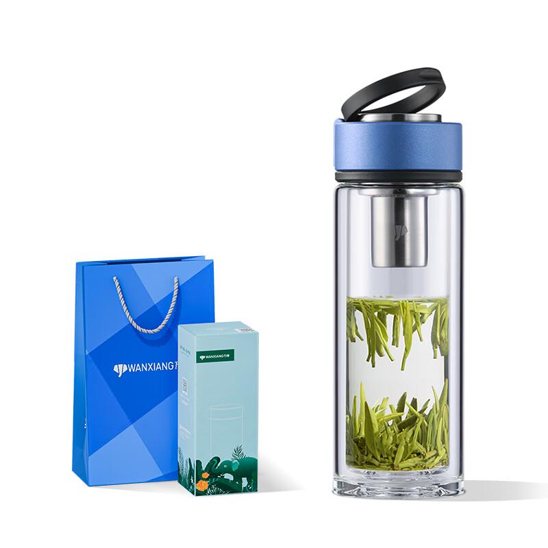

V261R Double Wall Borosilicate Glass Tea Infuser Bottle