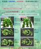 HaruDesign Light STAFF VA 6K FtW Plant Grow Light, White (5800K), Flat Wave LED, Full Spectrum, Flicker-Free, 3-Year Warranty