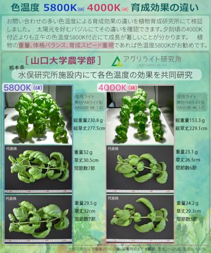 HaruDesign Light STAFF VA 6K FtW Plant Grow Light, White (5800K), Flat Wave LED, Full Spectrum, Flicker-Free, 3-Year Warranty