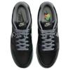 Nike Dunk Low Berlin Men Sneakers Black Off-Noir Cool-Grey FZ3053-001