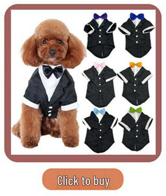 Solid Color High Neck Aran Cable Knit Sweater for Large Dogs