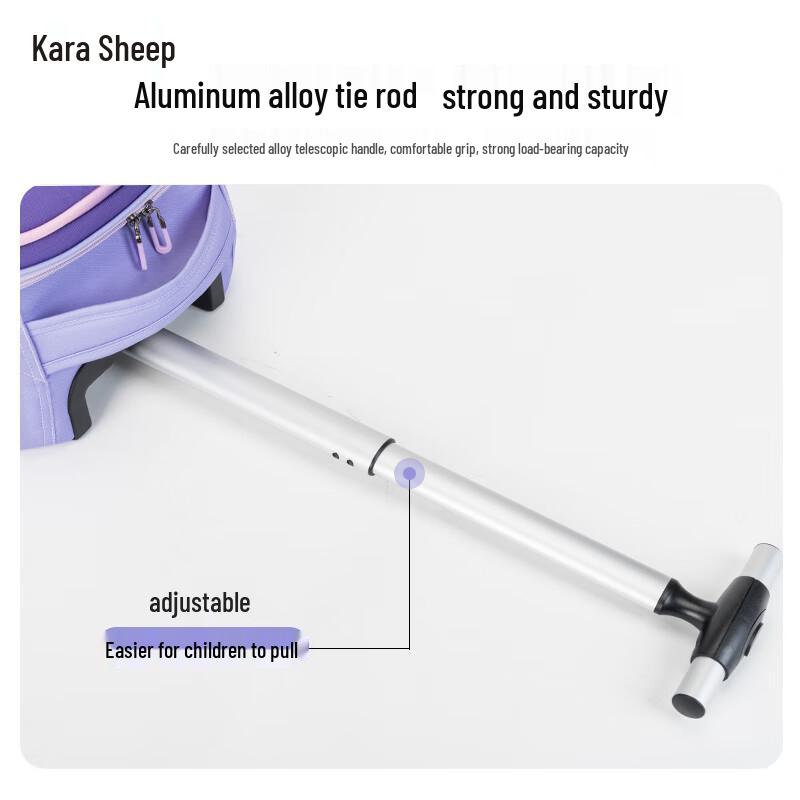 Carany Rolling School Backpack