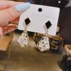 Korean Trendy Light Luxury Niche Earrings for Women - Versatile, Exquisite Fashion Design