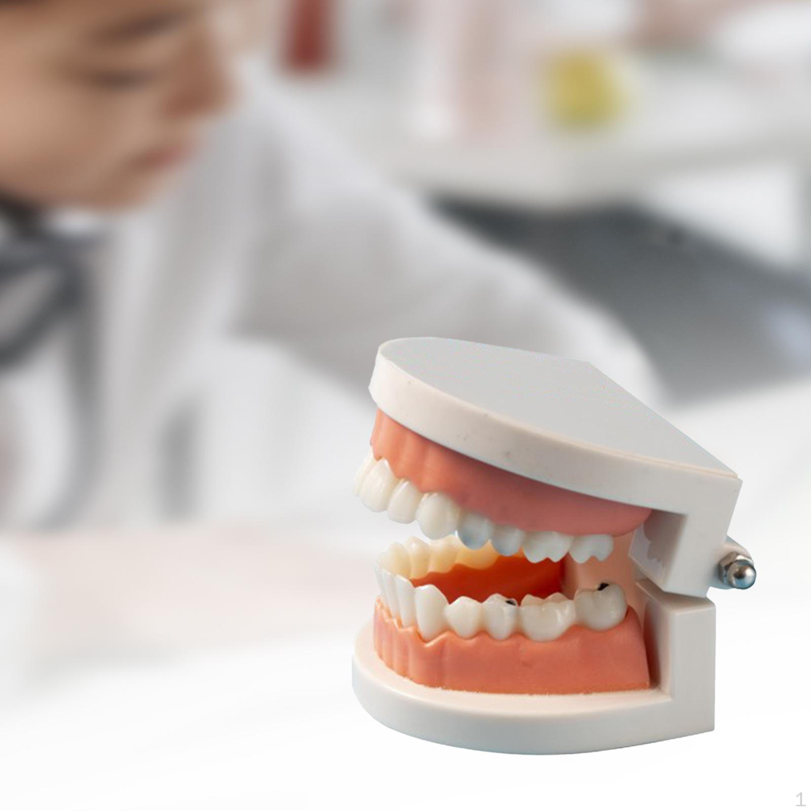 

Обучение модели распада зубов для детей-учителей