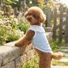 Thin Breathable Mesh Dog Vest Round Neck Dog Cooling Vest Cooling Pet Vest  Photography