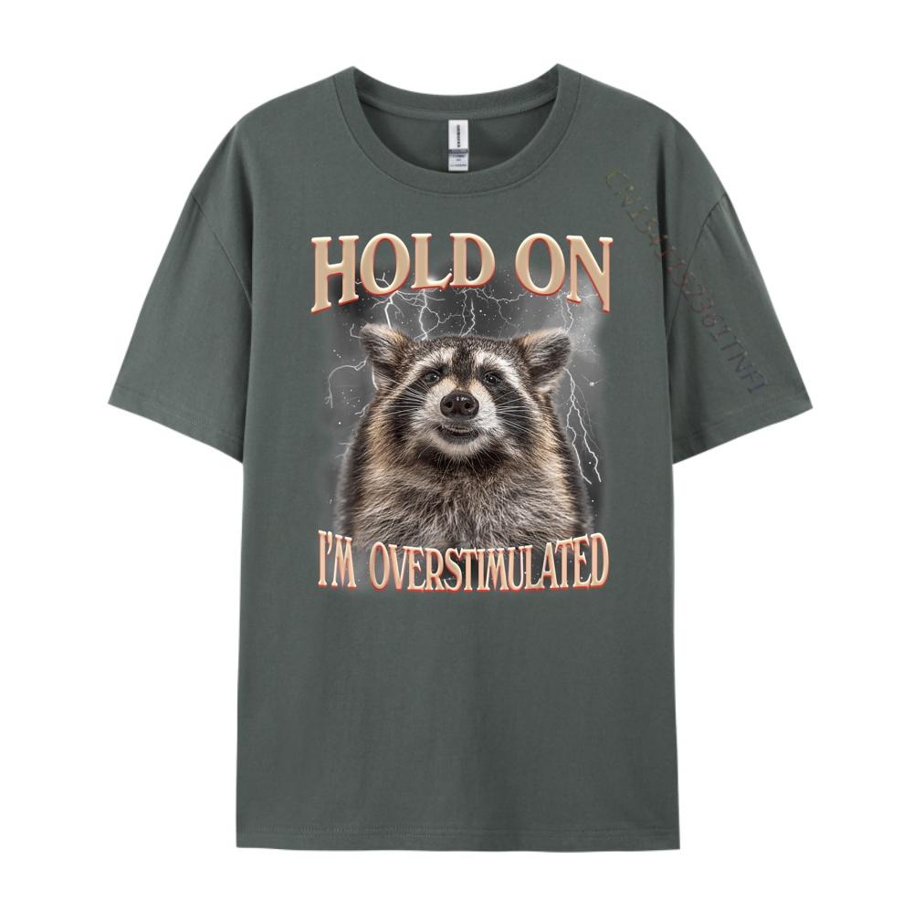 Hold On Im Overstimulated Raccoon Funny Men Women Streetwear Men Fall T Shirts For Men
