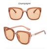 Plastic Square Oversized Women Sunglasses Brand Designer Vintage Retro Mirror Sun Glasses For Male Outdoor UV400 Protect Oculos
