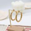 Stylish And Simple Titanium Steel Twist Earrings Women'S Niche Light Luxury C Titanium Steel Earrings Do Not Fade