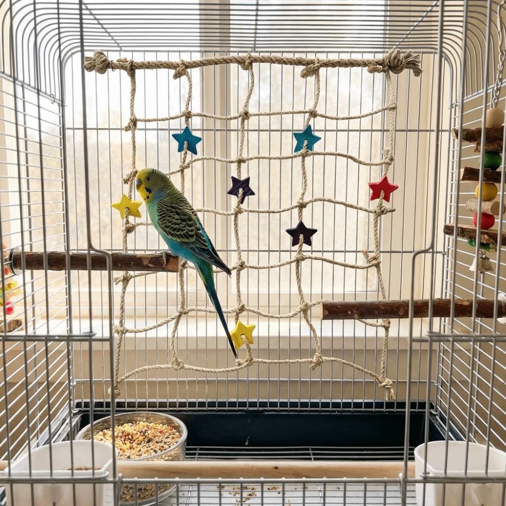 Colorful Star Parrot Climbing Net Hanging Bird Stand Net Creative Bird Cage Toy Indoor