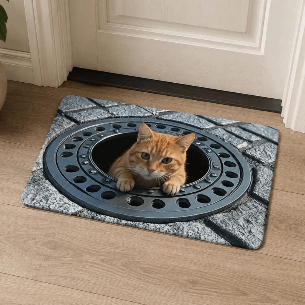 Water-absorbing Optical Illusion Doormat Non-slip Bedroom Door Rug Bathroom Carpet  Home Decor