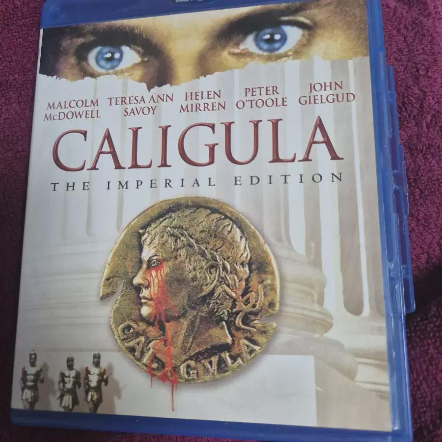 

Calicula зарубежное издание