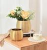 Dropshipping Ceramic Indoor Planters Gold Finish Small Flowerpot for Houseplants Succulents Pots Orchids Snake Plants for Garden