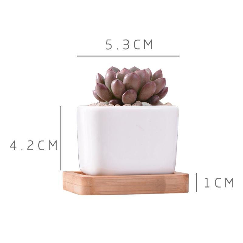 Geometic White Ceramic Square Bonsai Planter Little Succulent Flowerpots Modern Small Cactus Vases Bamboo Tray Office Home Decor