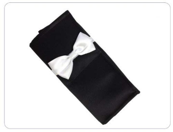 Kumano Brush Sakura Original Brush Case