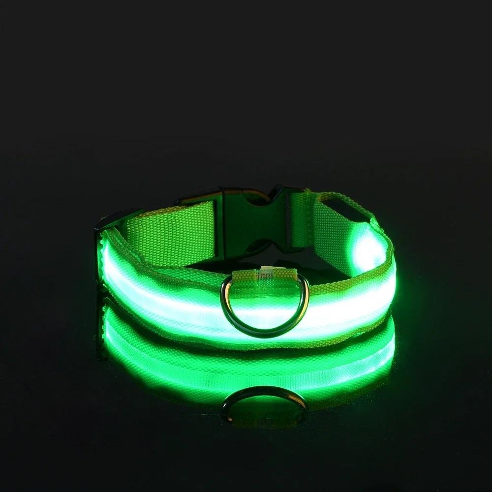 Light Up the Night - Stay Visible with Dog Glow Collar, Anti-Lost and Flashing Design for Safety