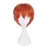 Cos Short Black Cosplay Wig With High Temperature Silk For Anime Costumes