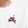 Jordan Logo Print Crew Neck Long Sleeve T-Shirt Men Tops White DN1447-100