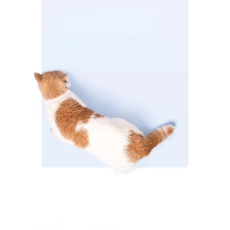 Electric Cat Toy Infrared  Light Pen Teasing Cat Stick Feather Automatic Cat Toy Self-hi Artifact Interactive Educational