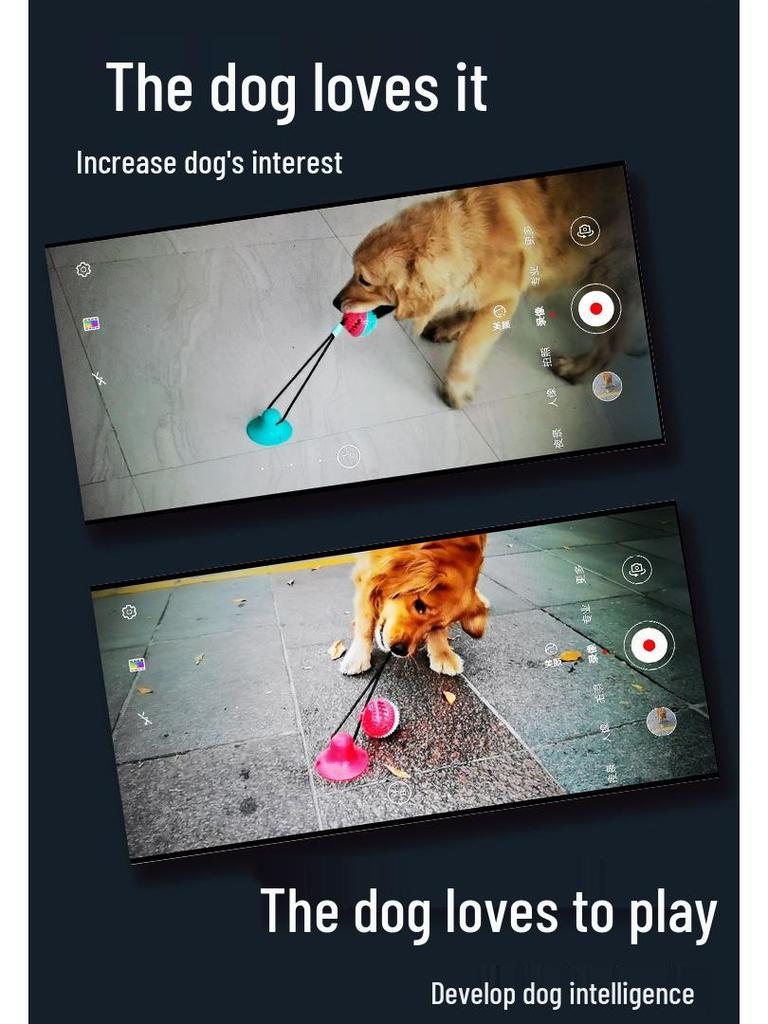 Pet Teething Toy: Bite-Resistant Ball with Suction Cup for Dogs