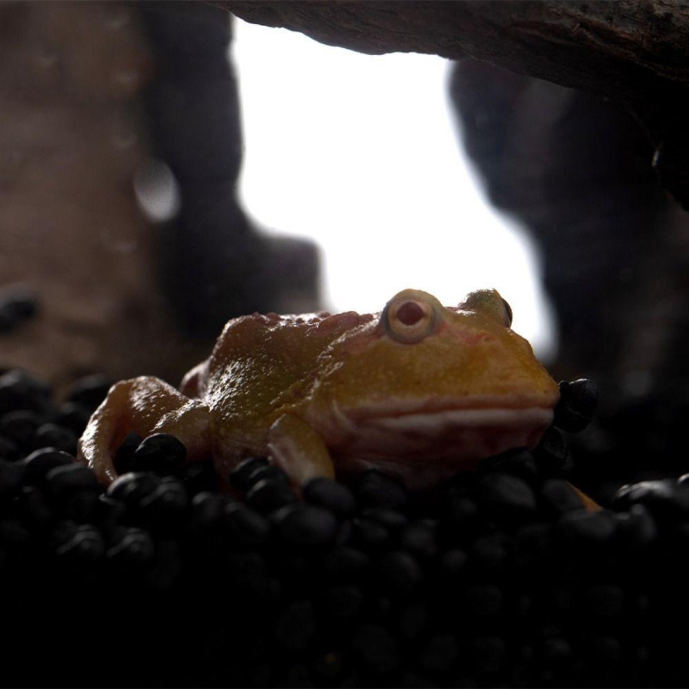 Artificial Reptile Hide Cave Realistic Pet Hide Rest Cave Turtle Shelter  Desktop