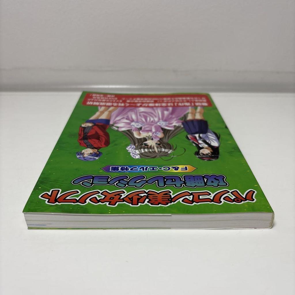 [USED] PC Beautiful Girl Software Strategy Selection F&C Elf Special