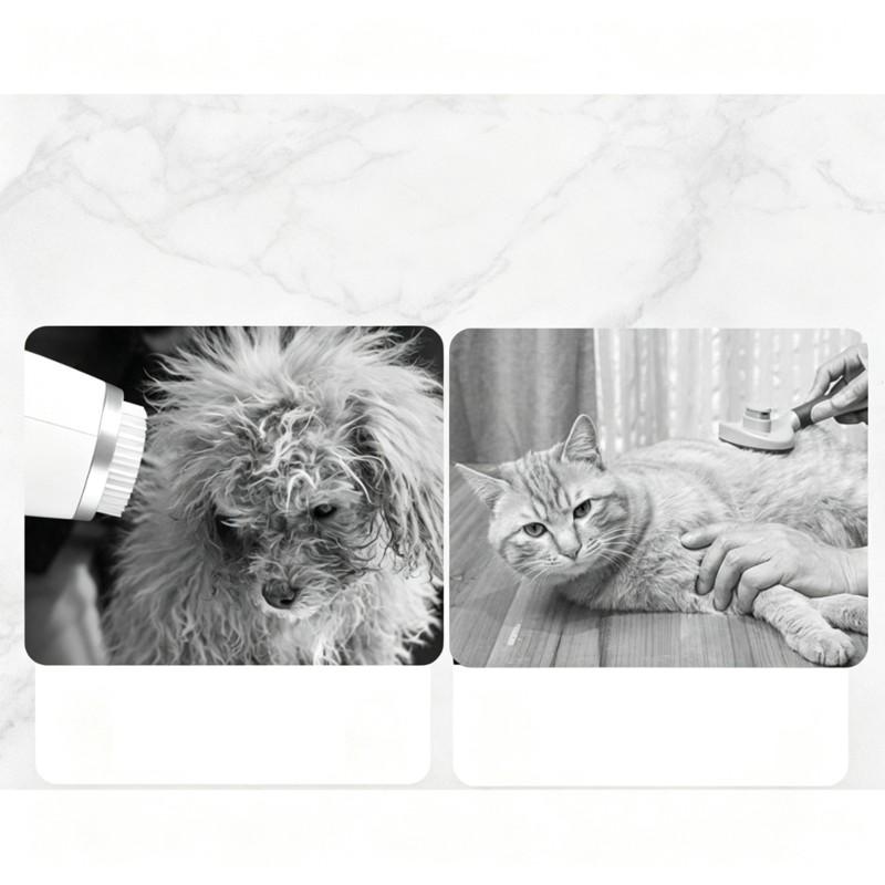 ABYN-2-In-1 Pet Hair Dryer Brush, Dog Cat Grooming EU Plug