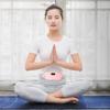 LED Display Electric Warm Waist Belt 4 Gear Massage Vibrating Abdominal Massager  Body Shaping