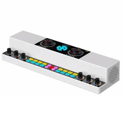 BGN-Y6001 Streaming în direct Cântând Placă de sunet Audio All-in-one Machine Karaoke pentru interior și exterior Difuzor Bluetooth fără fir