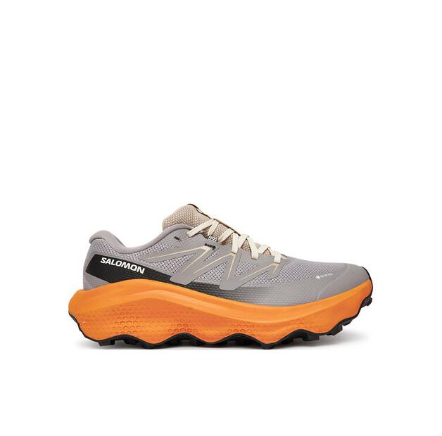 Беговые кроссовки Salomon Ultra Flow 2 Gore-Tex EU 43_1_3