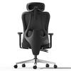 HBADA P3 Office Chair Desk Chair Chair 3D Armrest 3D Headrest Lower Back Pain Lumbar Support High Back Mesh Approximately 145 Degree Reclining