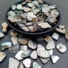 Piedras de Concha de Terrazzo Blanco y Negro de Nácar para Decoración de Acuario y Maceta