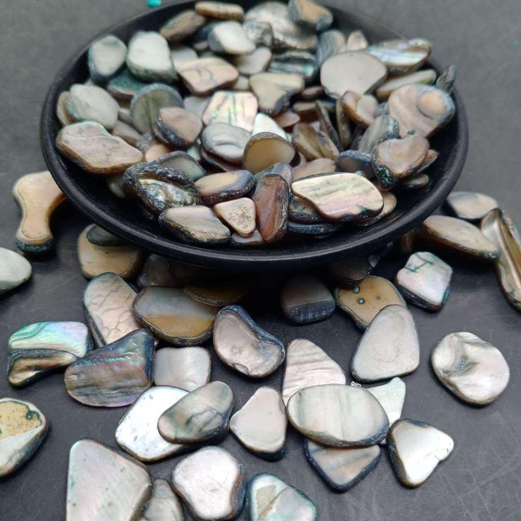 Piedras de Concha de Terrazzo Blanco y Negro de Nácar para Decoración de Acuario y Maceta