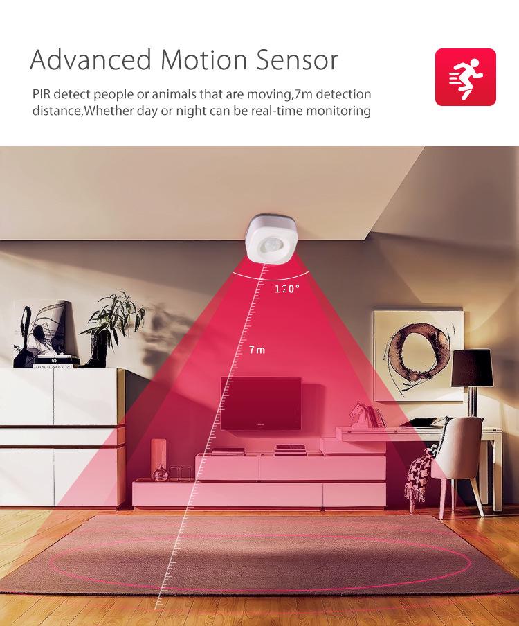 Graffiti Tuya WiFi Infrared Motion Sensor for Alexa
