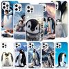 Pinguine Liebe Am Nordpol Handyhülle Für iPhone 17 Air 16 15 Plus 11 14 Pro Max 13 Mini 12 7 8 + SE Muster Kunst Personalisiert