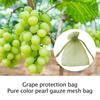 50Pcs Fruit Protection Bag Pest Contro Plants Anti-Bird Mesh Bags Grow Gardening Strawberry Grape Drawstring Bags Mesh Pouch