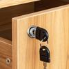 Modern Zinc Alloy Drawer Lock 138-22 Iron Cam Lock with Two Plastic Keys for Office Cabinet Doors Furniture Lock