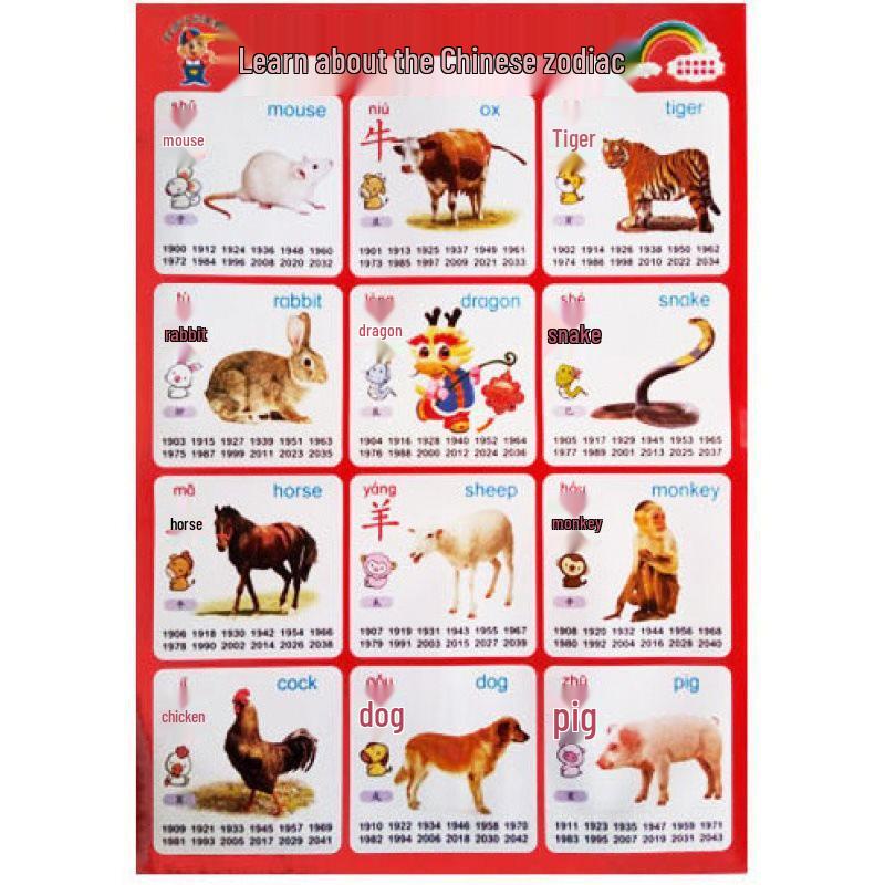 Waterproof Baby Pinyin & Character Recognition Wall Chart for Early Education