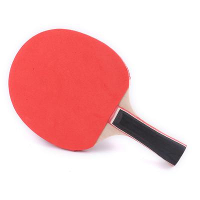 Table Tennis Racket Set Two Rackets Three Balls Double Sided Reverse Rubber Straight Racket