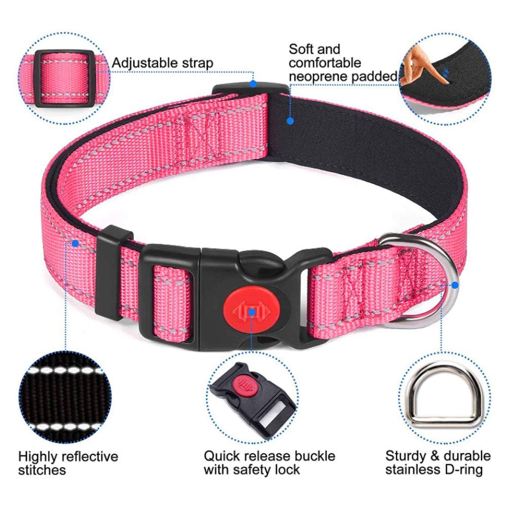 reflective dog leads