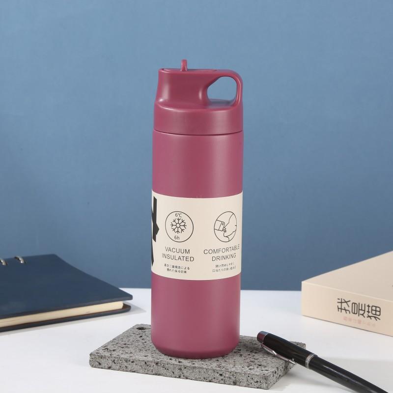 Stainless Steel Insulated Travel Mug With Straw Lid 550ml Leakproof Portable Water Bottle Office Gym Outdoor