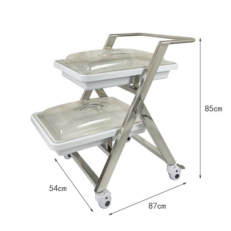 Stainless Steel Multi-Layer Endoscope and Bronchoscope Transport Cart
