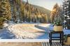 Photomural Winter Forest Smooth Vinyl 360x240