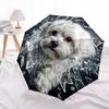 1 PC Automatic Folding Umbrella - Cute Pet Puppy Pattern, Portable & Foldable Design with 8 Ribs, Christmas Birthday Gifts