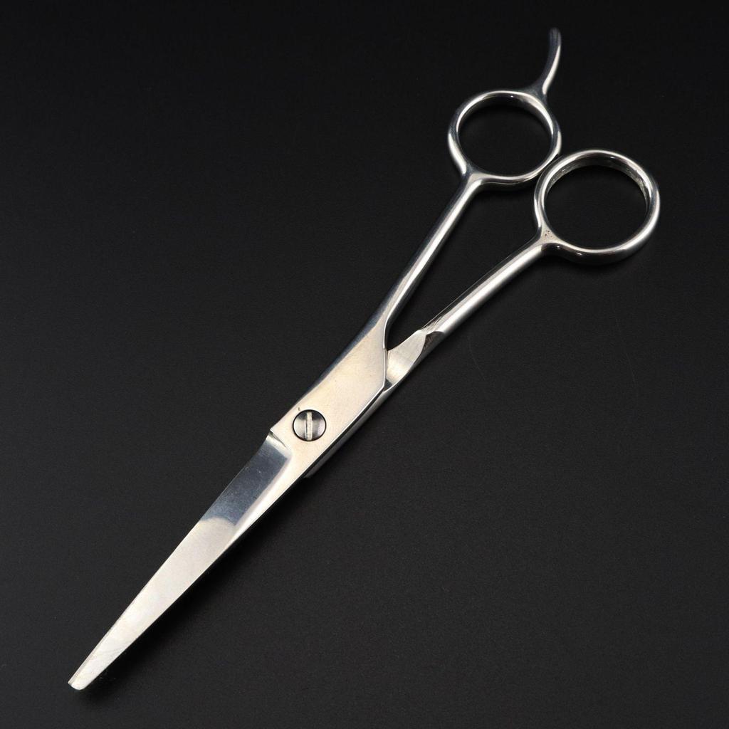 6.0" Stainless Steel Hairdressing Shears