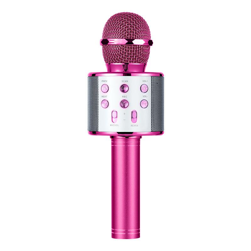 Wireless Bluetooth Karaoke Microphone for Kids, 5-in-1 Portable Handheld Karaoke Mic Speaker Player Recorder with Adjustable Remix FM Radio